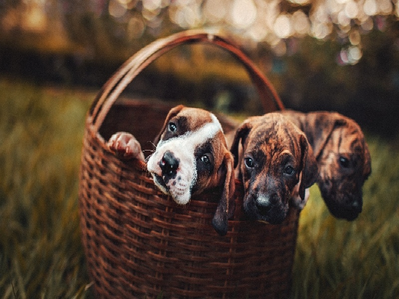 张女士成功案例